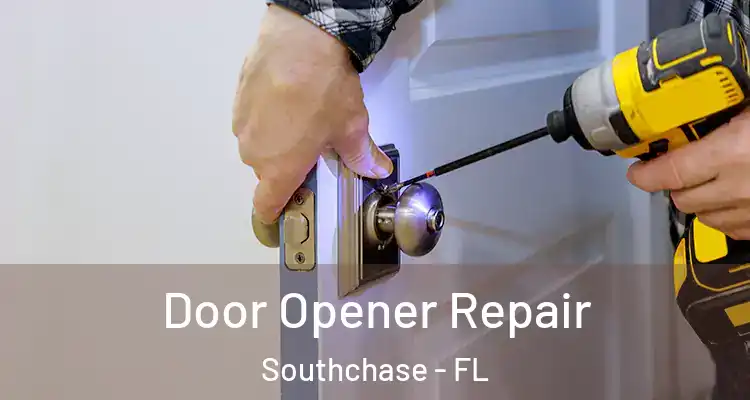  Door Opener Repair Southchase - FL